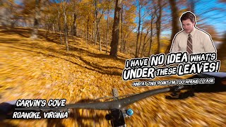 Leaf Peepin' at Carvin's Cove