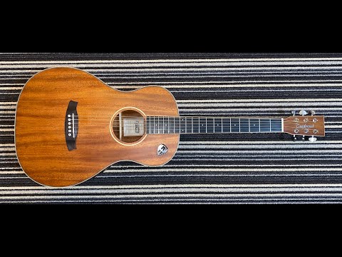 Acoustic guitar broken neck repair and full setup
