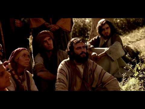 OLHAI OS LÍRIOS DO CAMPO