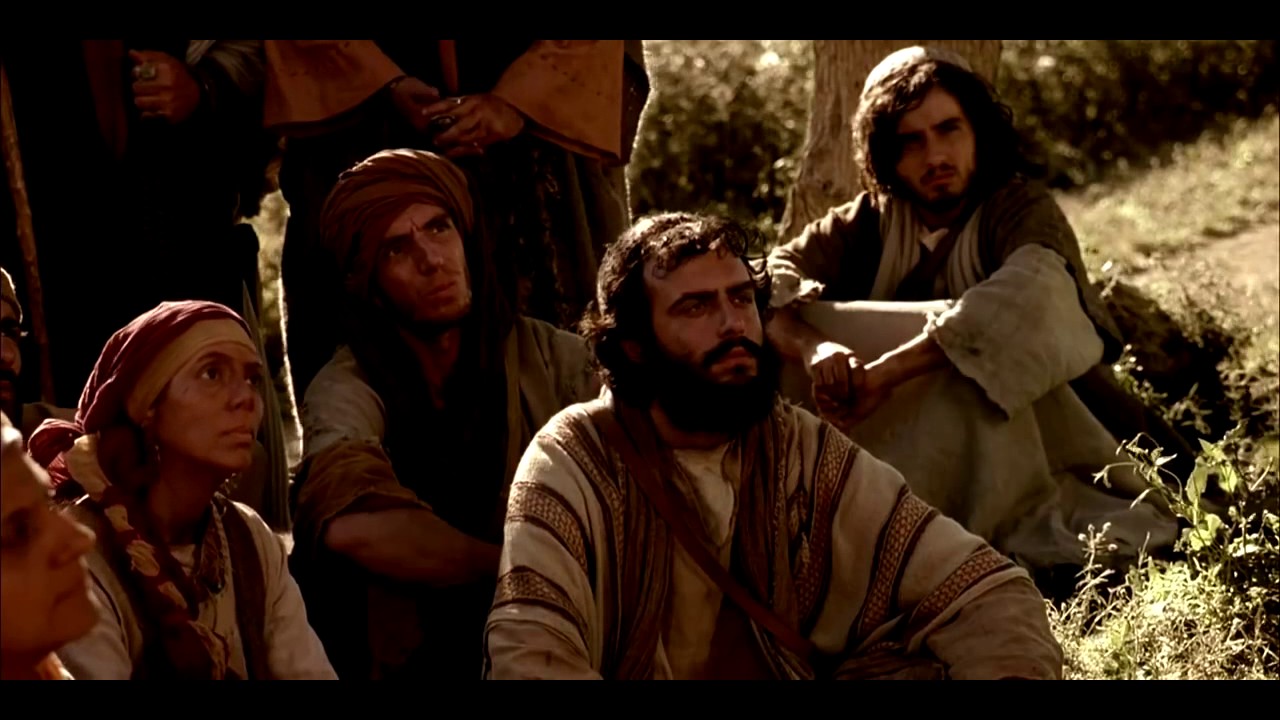 OLHAI OS LÍRIOS DO CAMPO