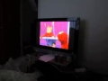MVI 4497 Sesame Street Episodes