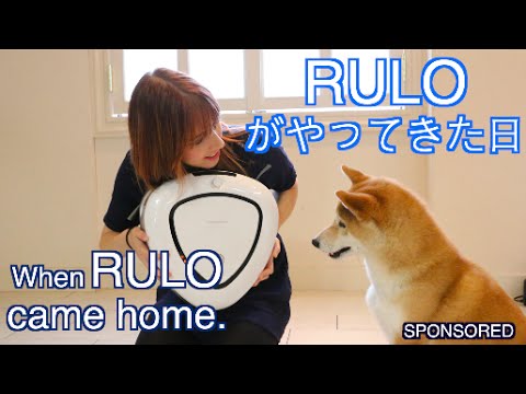RULOがやってきた日 When RULO Came Home (RULOがやってきた日 When RULO Came Home)