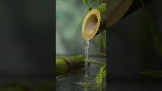Relaxing Zen Music for Spa, Massage & Wellness with Trickling Water #spa #watersounds #spamusic