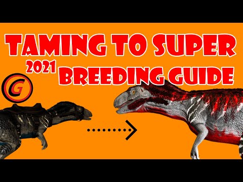 Easy to understand Breeding Guide 2021 - Ark Survival Evolved