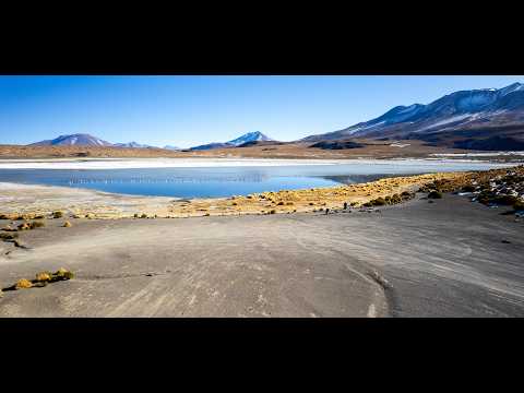 Los Flamencos National  Preserve Chile-Bolivia border