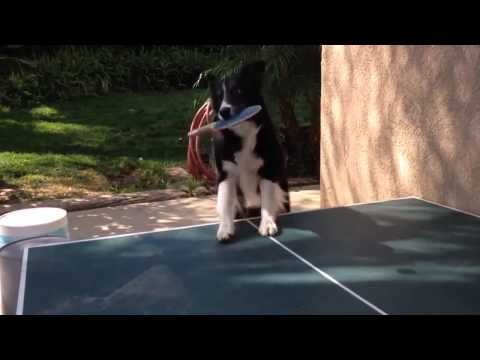 2013 WTTC (md-f) HAO Shuai / MA Lin Vs CHEN Chien-An / CHUANG Chih-Yuan [HD] [Full Match/C