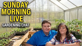 LIVE: Potting a Cherry Tomato Plant + Raised Bed Gardening Thoughts