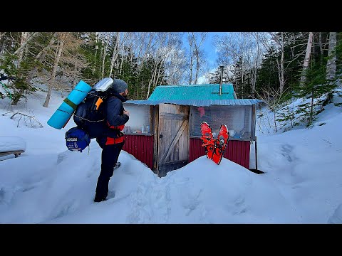2 days alone in the forest | Found a Log Cabin - sheltered from the cold