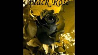 Dark Reality - Ants Under Glass