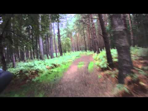 Wood and River Ride - Shefford Area