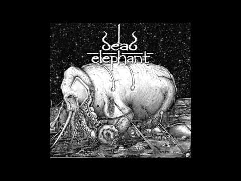 Dead Elephant - 01 - Boleta