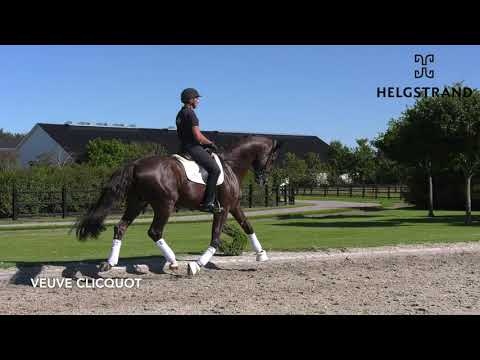 Veuve Clicquot born 2016 by Vilancio/Stedinger