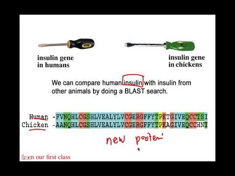 DNA Sequencing, BIO105 Introductory Biology, David Champlin, USM