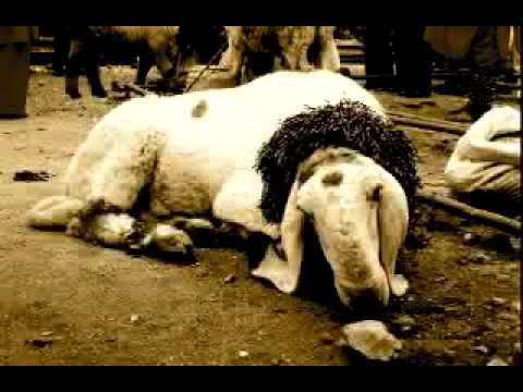 SGR Original Dhol Play Part1