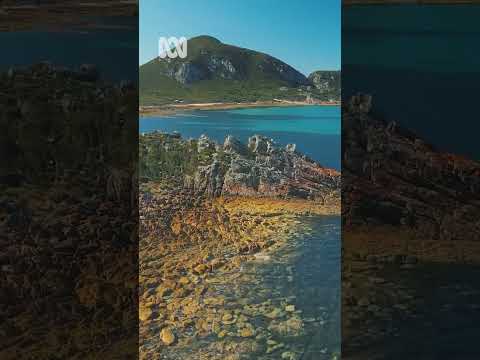 Dramatic coastline – Rocky Cape, Tasmania Nature Escapes ABC Australia