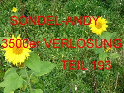 Sondeln mit Sondel-Andy. 3500 Abo Verlosungs-sondelgang. Teil 193