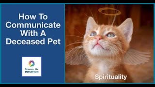 How To Communicate With A Deceased Pet! - UYT147