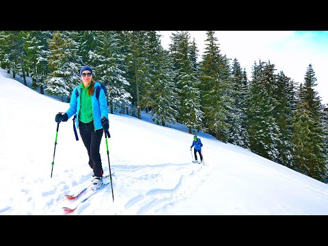 Schi în Munții Rodnei | Valea Vinului spre Vârful Ineu