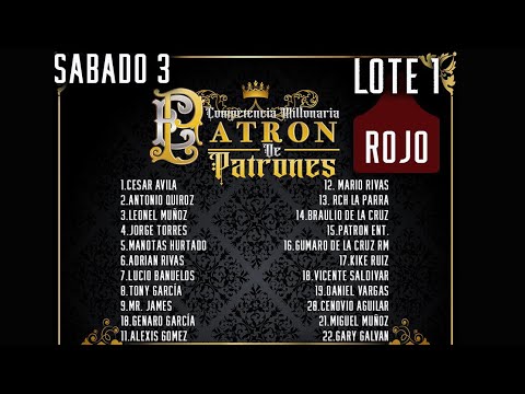 Patron de patrones lote 1