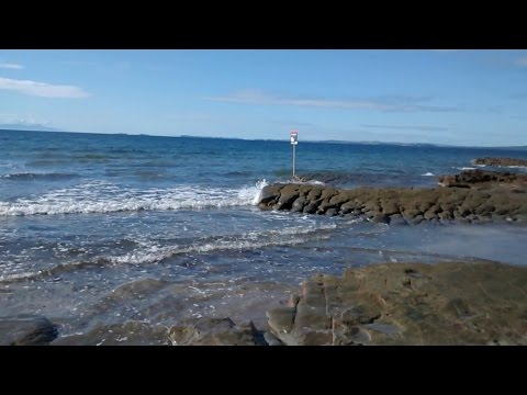 HBW #73 - 17 June 2015 - In the Fridge + Matariki IPA + Quick Book Review