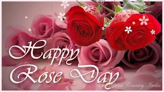 Best Happy Rose Day Wishes Video Greeting  Rose Da