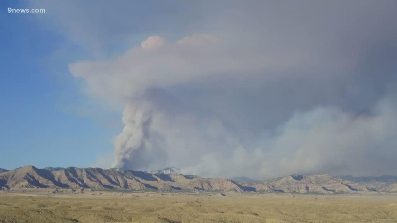 How will Colorado wildlife fare during all of the wildfires?