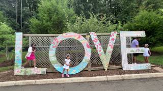 Family Fun Day in Occoquan: Brunch, Kids' Show, & Delicious Korean BBQ at K-Pot!