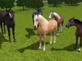 ~ Sims 3 ~ Spirit Stallion of the Cimarron ~ Part 1 ...