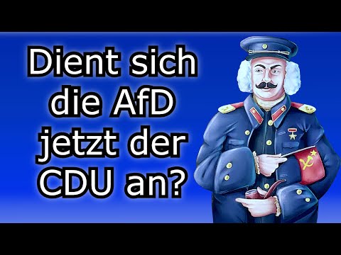 Die Offensive der Westextremen in der AfD | Agitator spricht mit Shlomo Finkelstein (Folge 33)