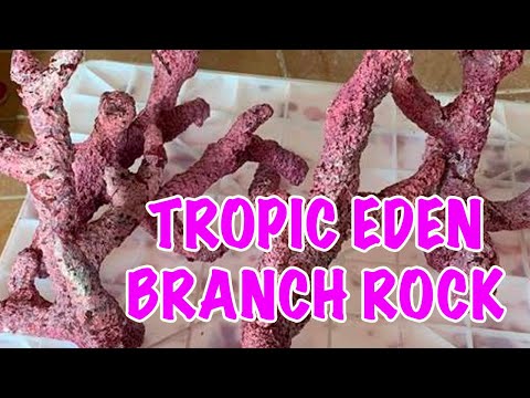NEW Tropic Eden Morroca - Regular Branch Reef Rock