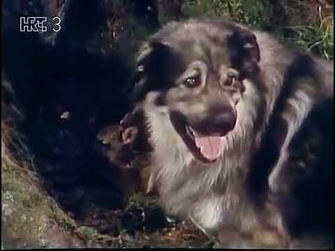 JELENKO  1  Epizoda   Tajna šumske kolibe