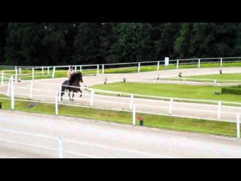 WM-Sichtung St. Radegund - T1-VE - isibless