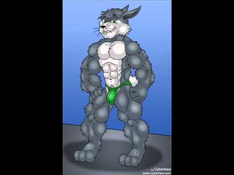 Justament- Jänesel on suur jõud