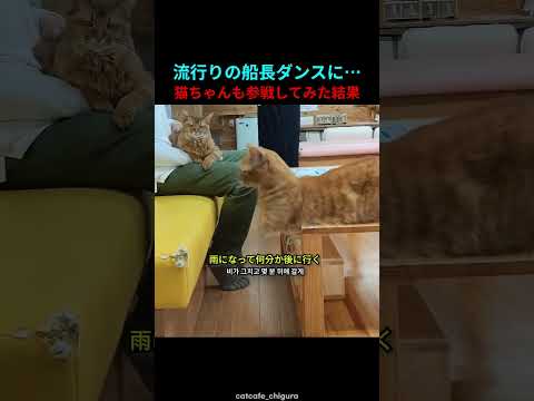 サカナクションの裏メンバーが可愛すぎる件