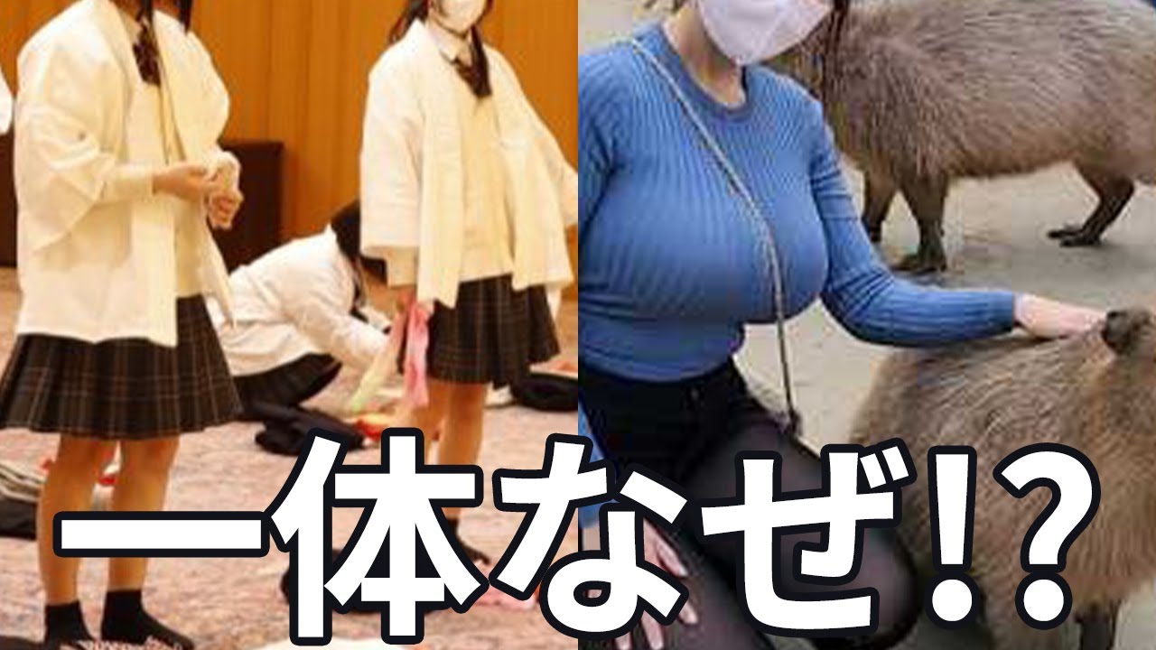 おねえさんがカピバラを撫でるだけの動画が3600万回以上再生されてしまうｗｗｗ【最近のニュース】