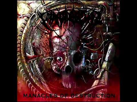 Immodestia - IMMODESTIA - Cancer