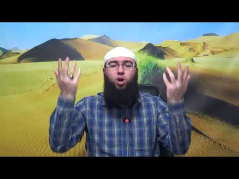 Mos të jetë Allahu për ty Shikuesi i fundit! - Omer Bajrami