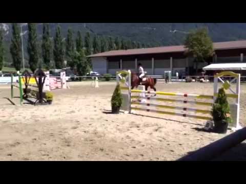 Emma, 6J Holsteiner Stute, Quality, 162cm