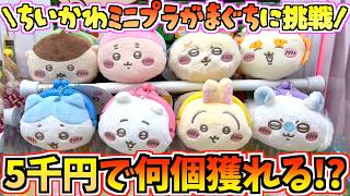 【ちいかわクレゲ】全8種を5千円で何個獲れるか!?ちいかわ最新プライズミニプラがまぐちに挑戦！【ちいかわグッズ】【ちいかわクレーンゲーム】【UFOキャッチャー】【ちい活vlog】【chiikawa】