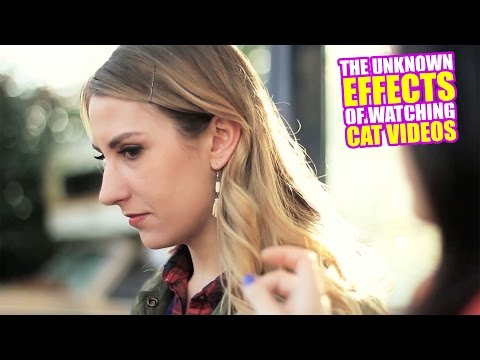 The Unknown Effects of Cat Videos - Friskies