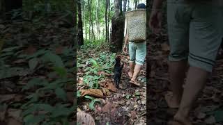 Download lagu takia ma ume mp3