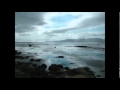 Brian Eno   A Stream with Bright Fish (1984) - Bruno Armageddonet Brian Eno   A Stream with Bright Fish (1984)