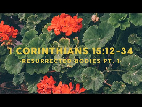 RECAP - 1 Corinthians 15:12-34