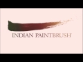 Indian Paintbrush Television Logo 2005 2007 Present High Tone