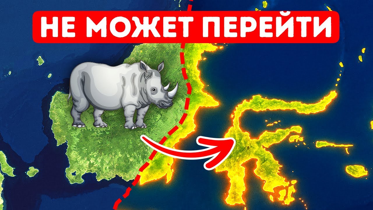 Эта невидимая линия останавливает животных — вот почему