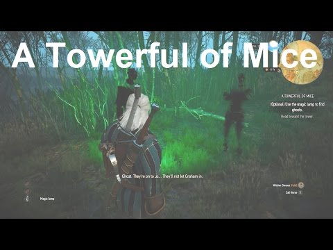 Use the Magic Lamp to Find Ghosts - A Towerful of Mice - The Witcher 3 Wild Hunt