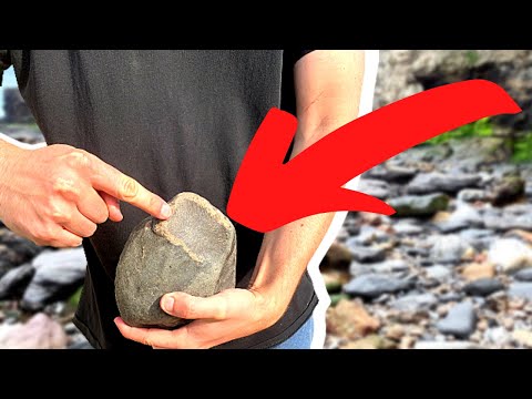 FOSSIL HUNTING - A Day Full Of Surprises