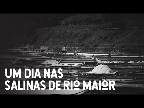 Exploring the Rio Maior Salt Flats: A Day with the Salineiros