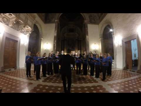 We Beheld Once Again the Stars (Stroope) - Sofia Kammarkör