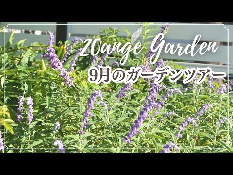 旧暦: 月のガーデニング